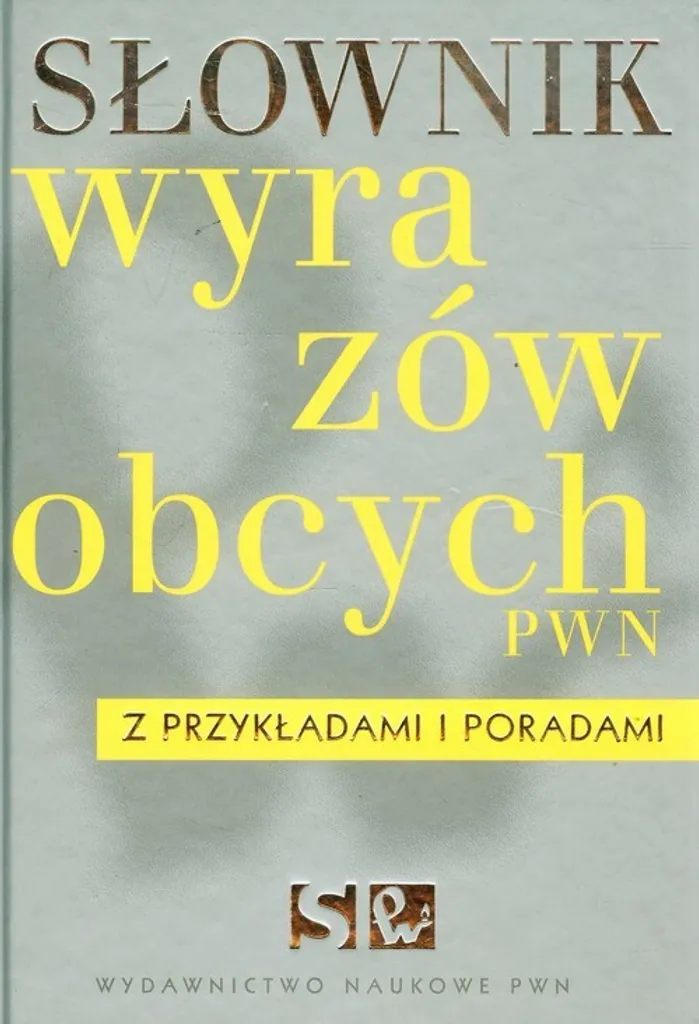 Dictionnaire de polonais mots étrangers PWN avec conseils et exemples