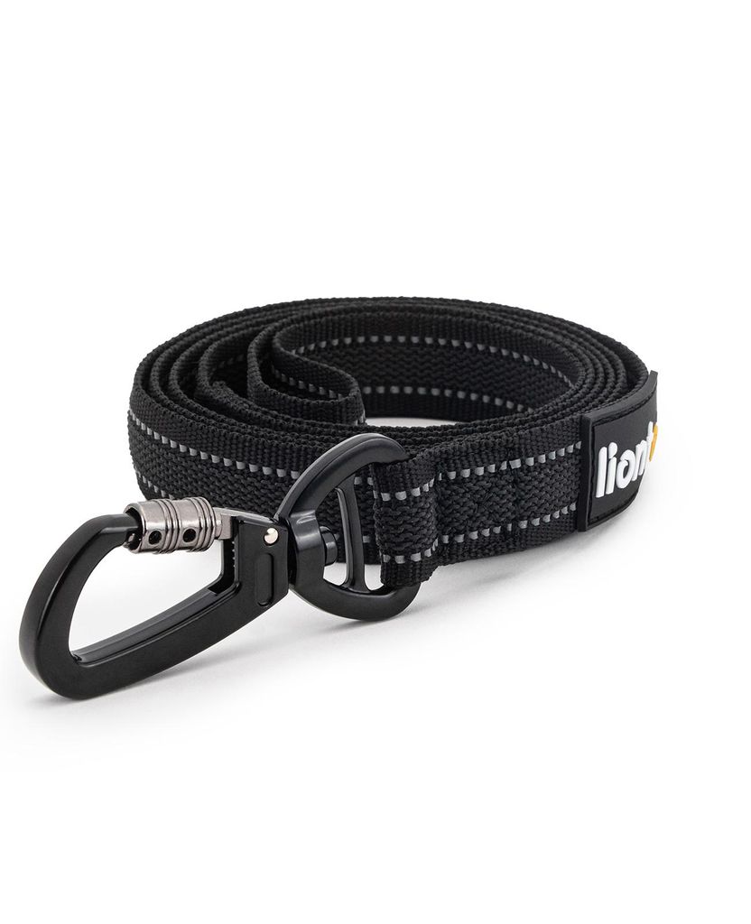 A black dog leash coiled on a white background.