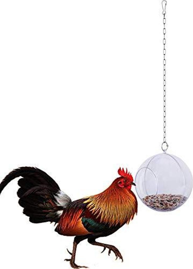 Macabolo Chicken Hanging Food Toy Hühner Feeding Fütterung Behandlungs Kugel Gemüse Samen Haustier Papagei Vogel Vogel