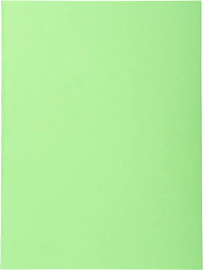 Classement dossiers A4 Exacompta - 500 Chemises Vert Vif 170g Forever