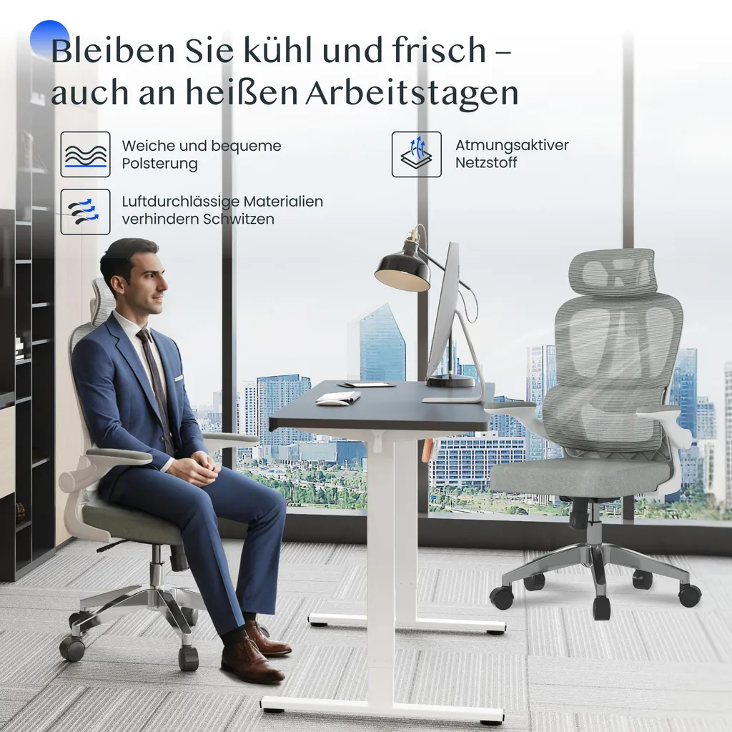 FLEXISPOT Chaise de bureau ergonomique grise avec appui-tête 2D réglable