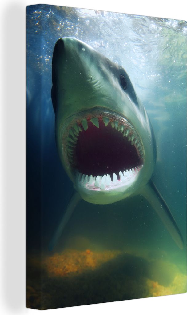 OneMillionCanvasses - Leinwandbilder - 90x140 cm, Hai mit offenem Maul in trübem Wasser, Wandbilder Kunstdruck Wanddekoration - Wandschmucke - S...