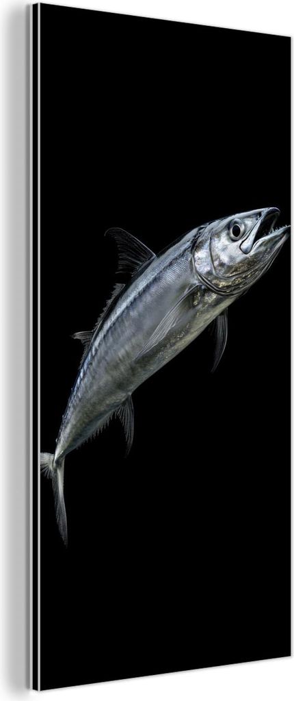 MuchoWow Wanddekoration Metall Metallbild Wandkunst 20x40 cm Makrele - Fisch - Schwarz MuchoWow Aluminium Gemälde - Aluminium Gemäldes