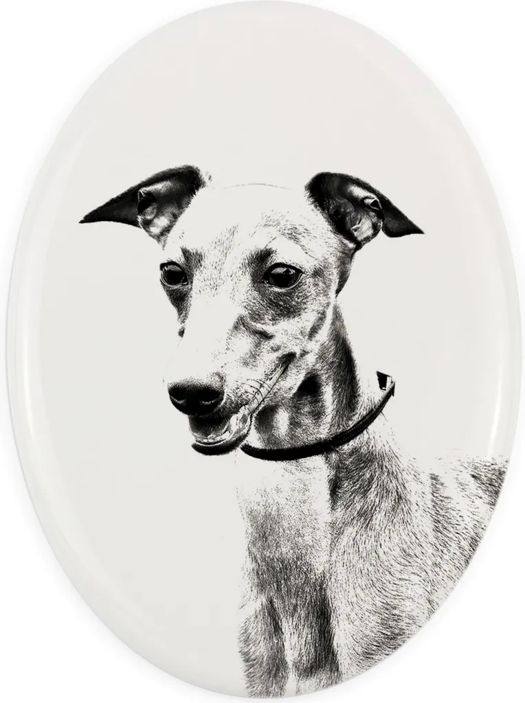 Lapide Azawakh Personalizzata Art-Dog - Targa Ovale con Foto Cane