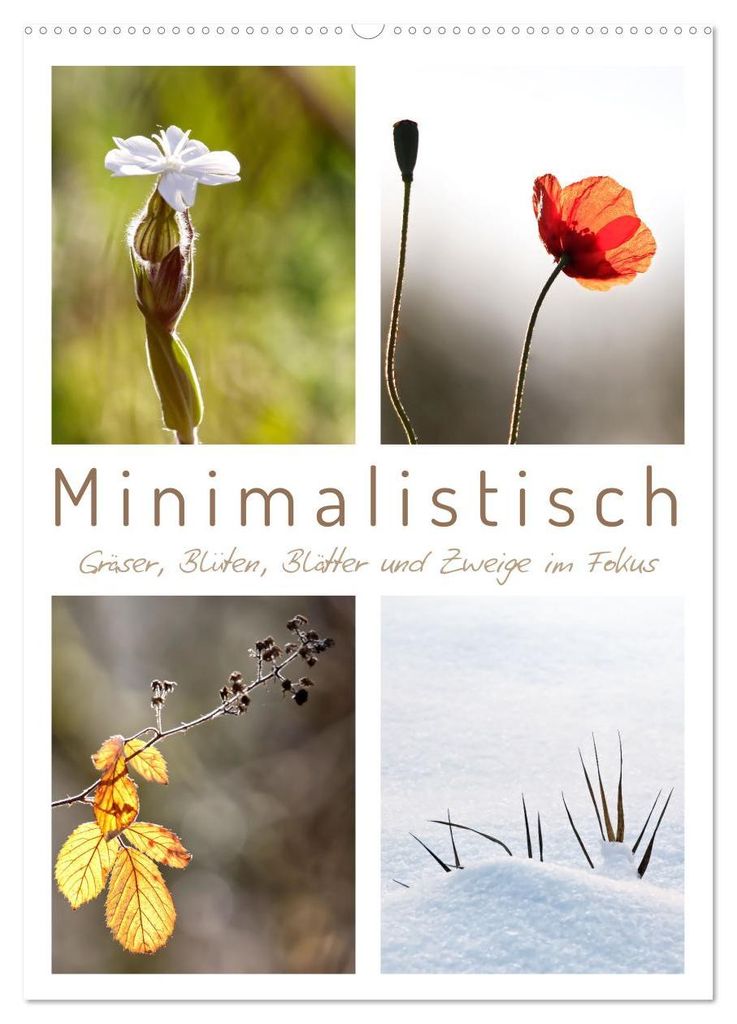 Minimalistisch, Gräser, Blüten, Blätter und Zweige im Fokus (Wandkalender 2027 DIN A2 hoch), CALVENDO Monatskalender