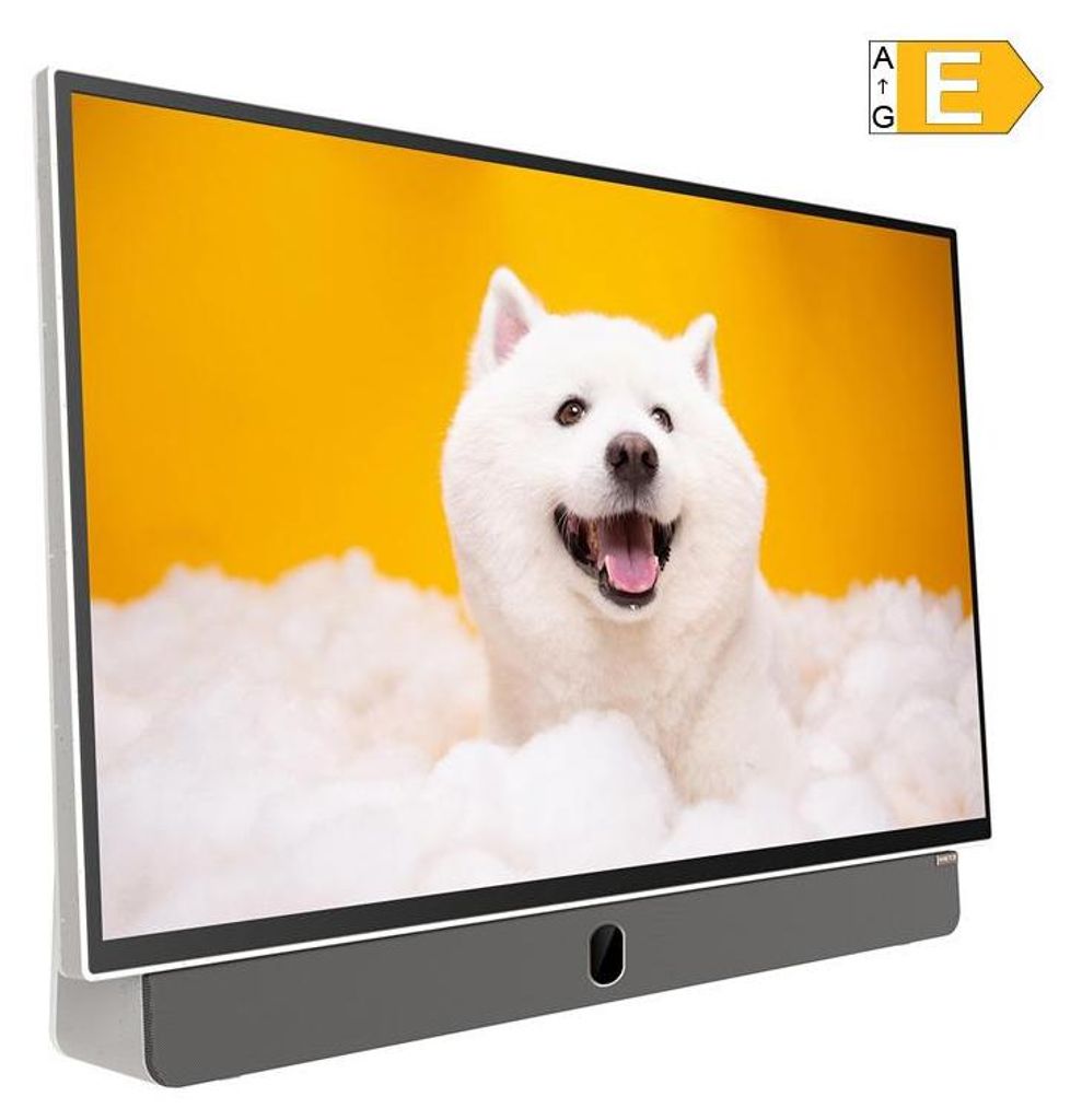 Metz MPE7000, 61 cm (24"), 1920 x 1080 Pixel, LED, Smart-TV, WLAN, Schwarz, Grau