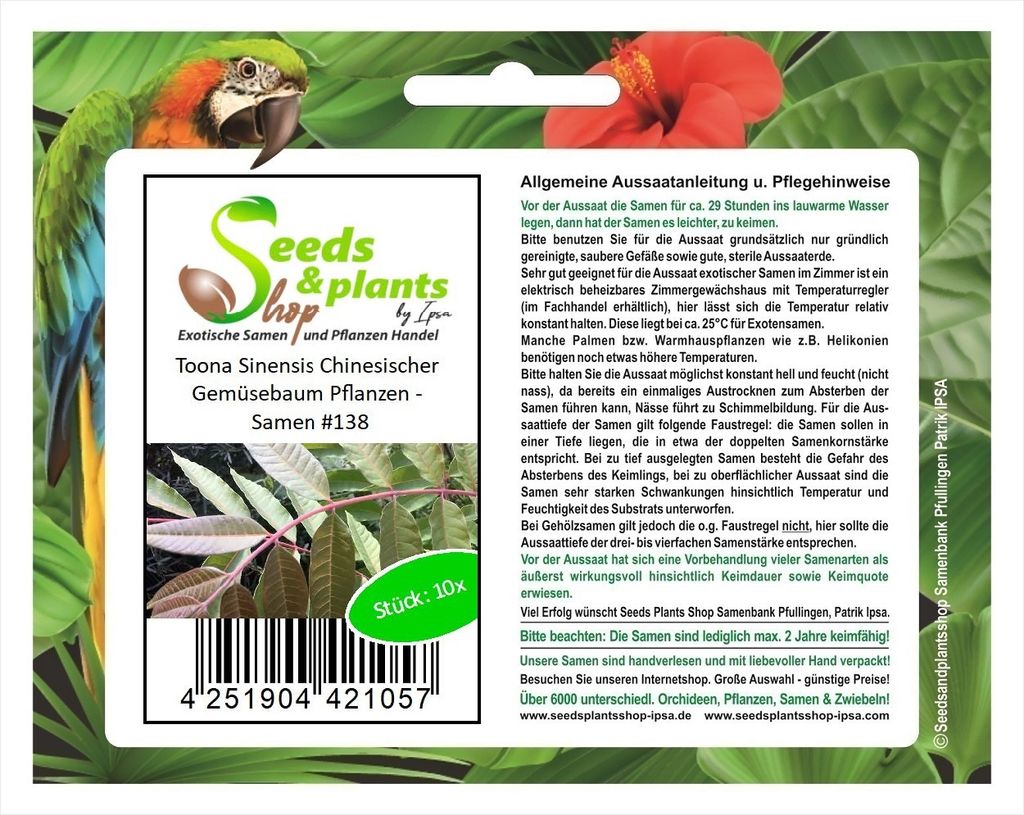 10x Toona Sinensis Chinesischer Gemüsebaum Pflanzen - Samen #138