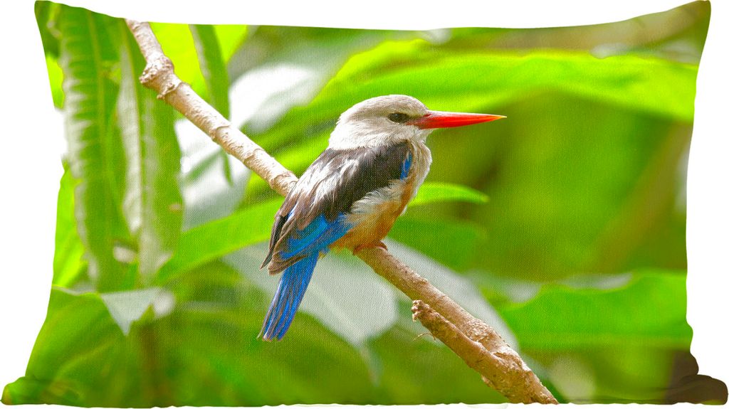 MuchoWow Zierkissen Sofakissen Wohnzimmer Dekokissen 50x30 cm Graukopf-Raubvogel in schöner und dichter Natur - Wohnzimmerdekoration - Polster m...