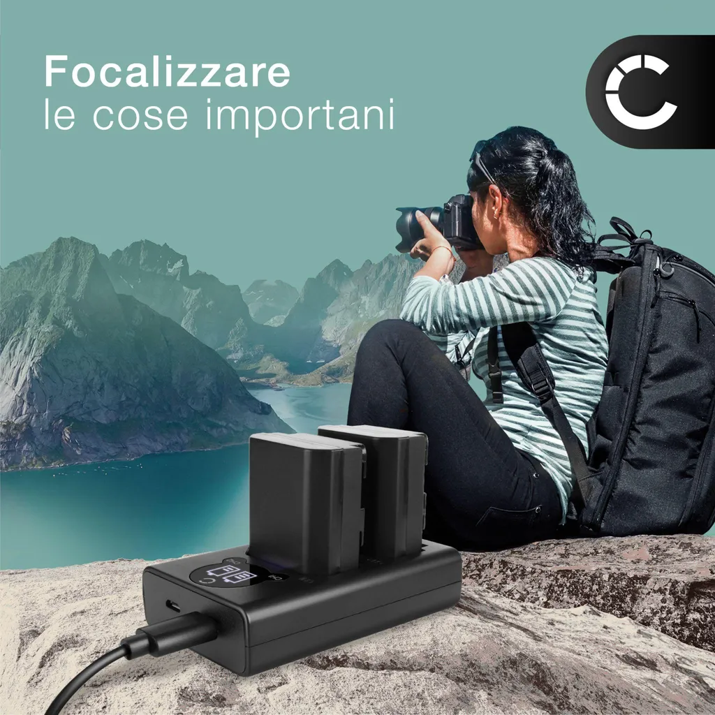 Caricabatterie Doppio Per Sony NP-FH100 – Ricarica Veloce 2 Batterie Contemporaneamente Con Display E Porta USB - 4