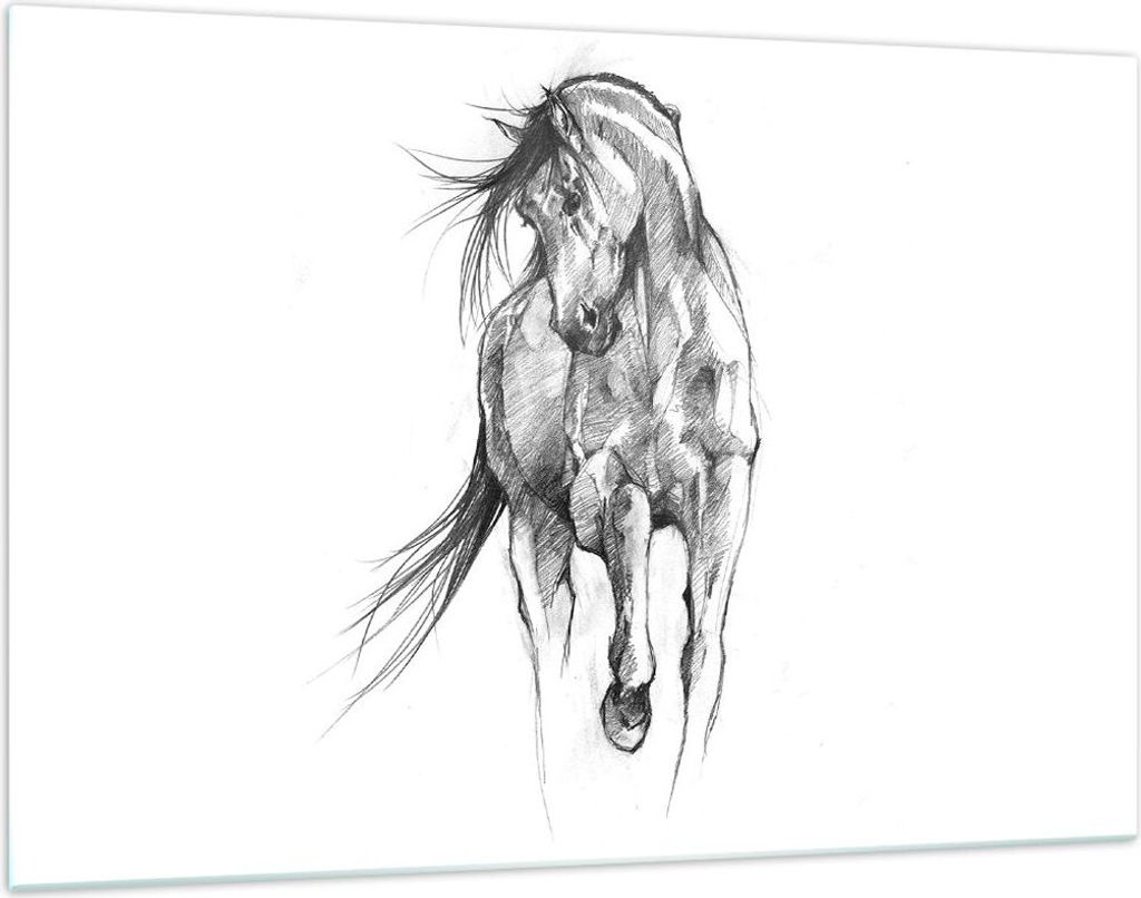 Bilder auf glas - Einteilig - Pferd Galopp Tier - 120x80cm - Glasbilder - Wandbilder - Bilder - zum Aufhängen bereit - Wanddekoration aus Glas - G...