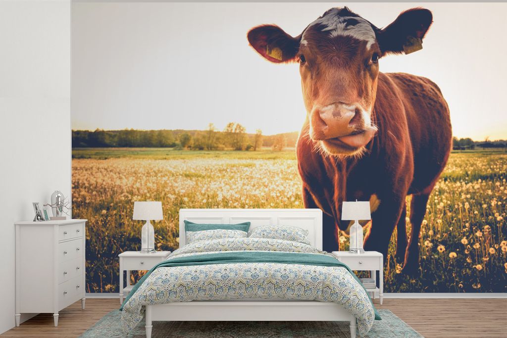 MuchoWow Fototapete für Wohnzimmer oder Schlafzimmer Wandtapete Vinyl Motivtapete Kuh - Tier - Sonne - Braun - 450x300 cm - Gemusterte