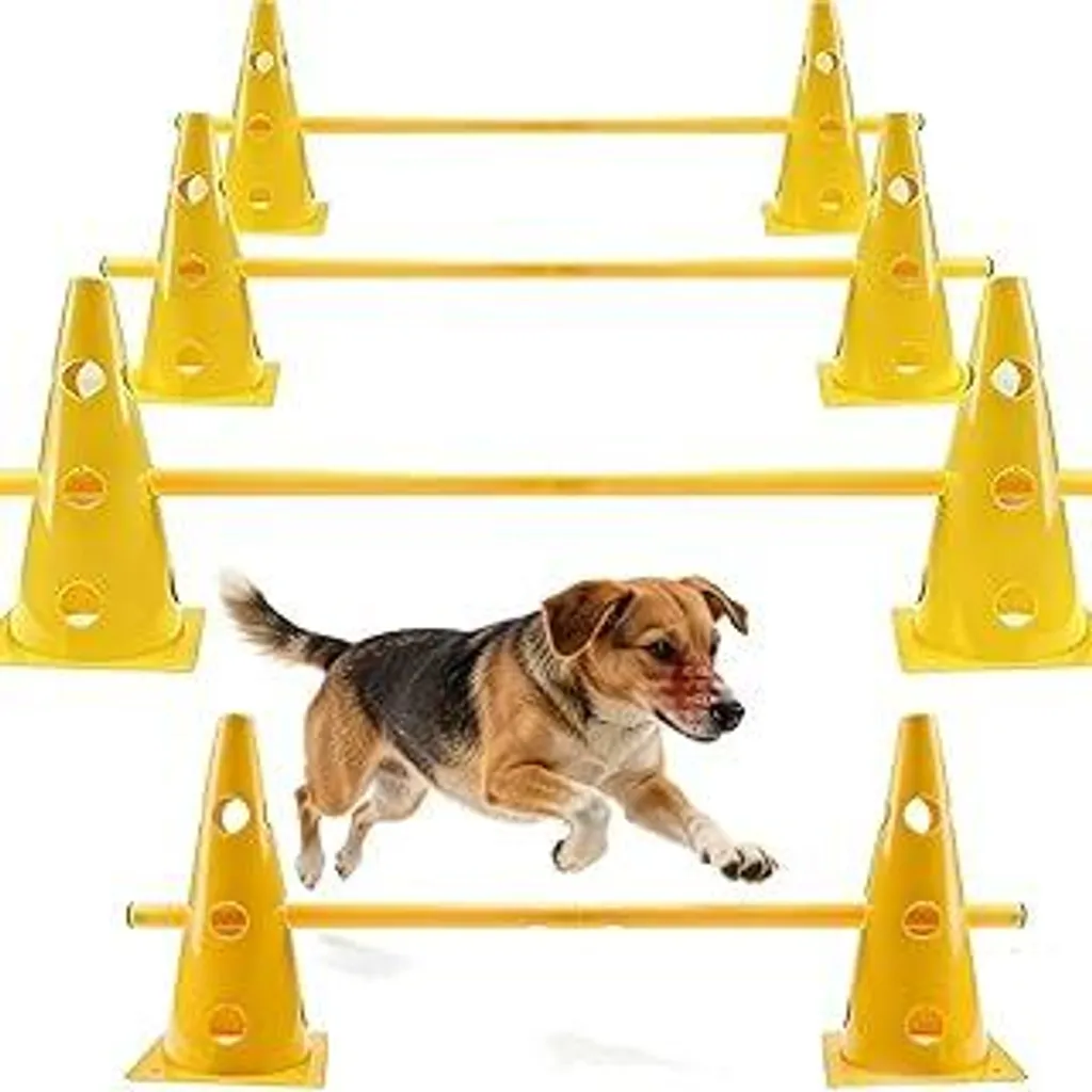 Shengruili Set per cani, set di ostacoli per cani, ostacoli per cani, ostacoli per bambini, ostacoli per cavalli, percorso per cani, coni, ostacoli da allenamento regolabili, altezza 32 cm, barre lunghe 100 cm