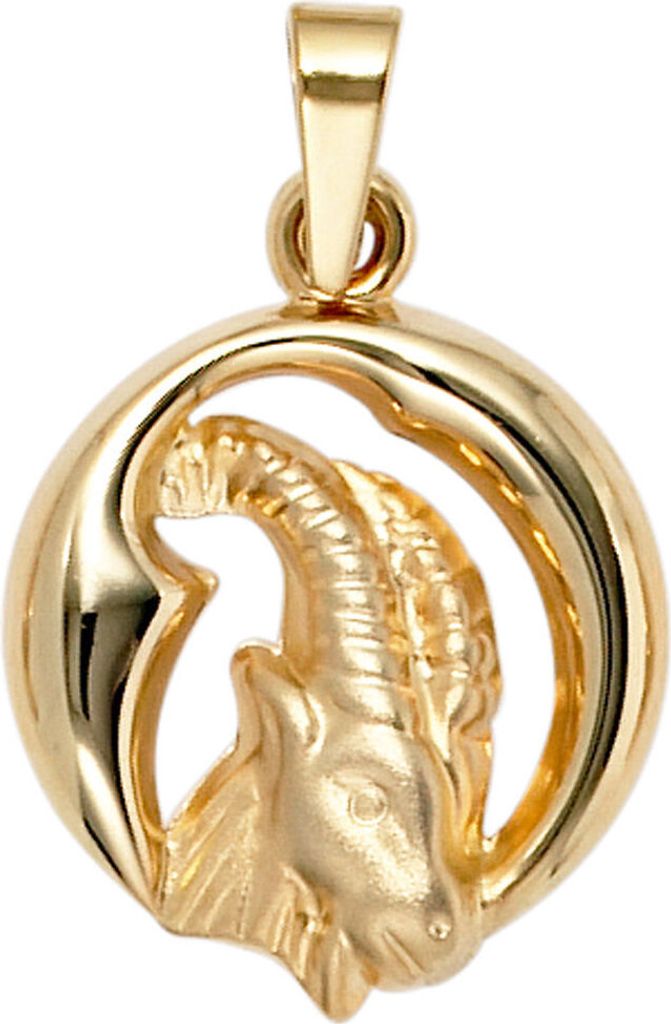 Anhänger Sternzeichen Steinbock 375 Gold Gelbgold teilmattiert Horoskop