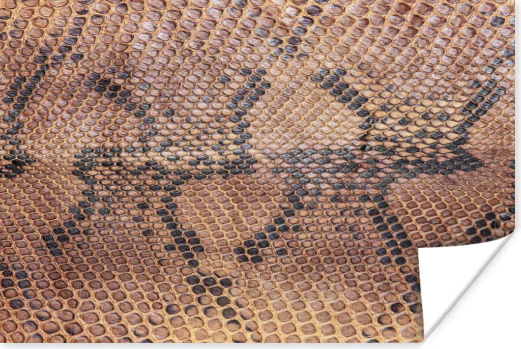 MuchoWow Poster Leder - Textur - Tierhaut 120x80 cm - Bilder