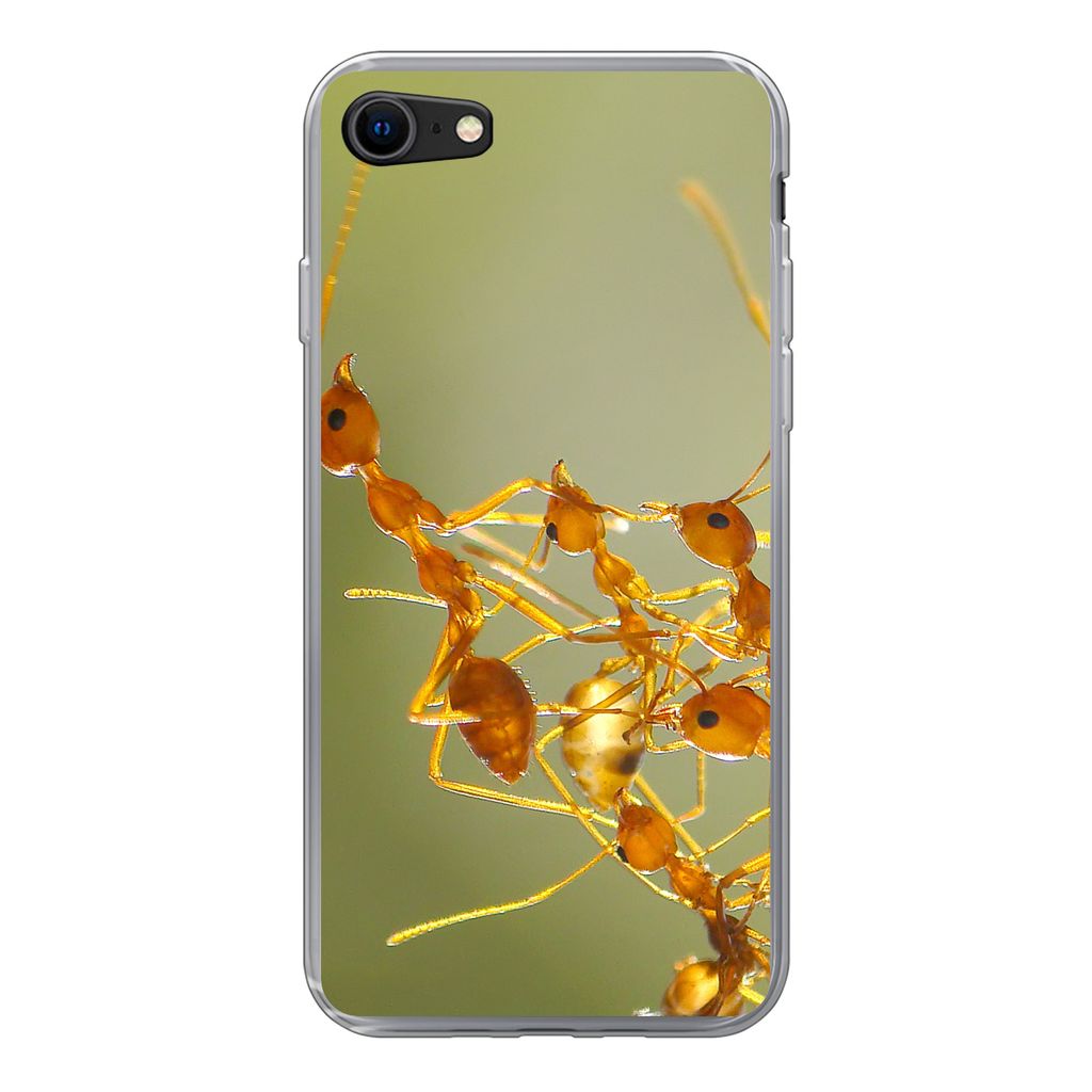 MuchoWow Handyhülle Schutzhülle Hülle für iPhone SE 2020 Ameisen - Orange - Tiere Silikon Softcase Handy Hülle - Kartenbesitzer