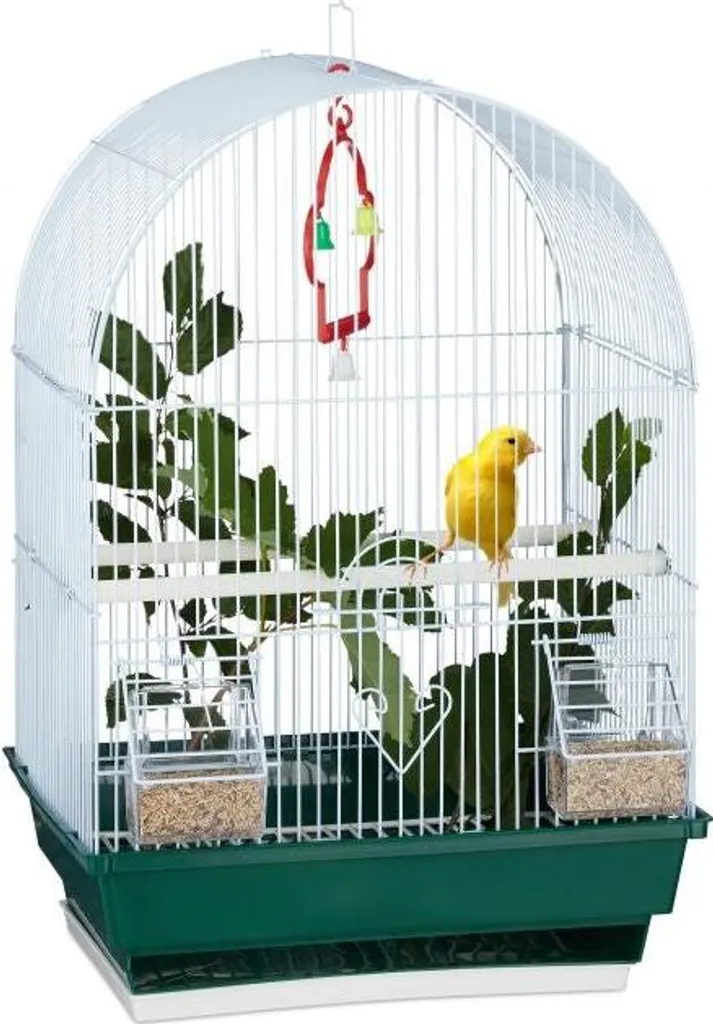 Piccola gabbia per uccelli con accessori