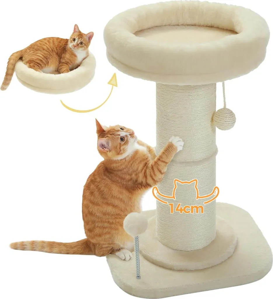 Crapaud pour chats avec lit amovible facile à nettoyer coloris beige