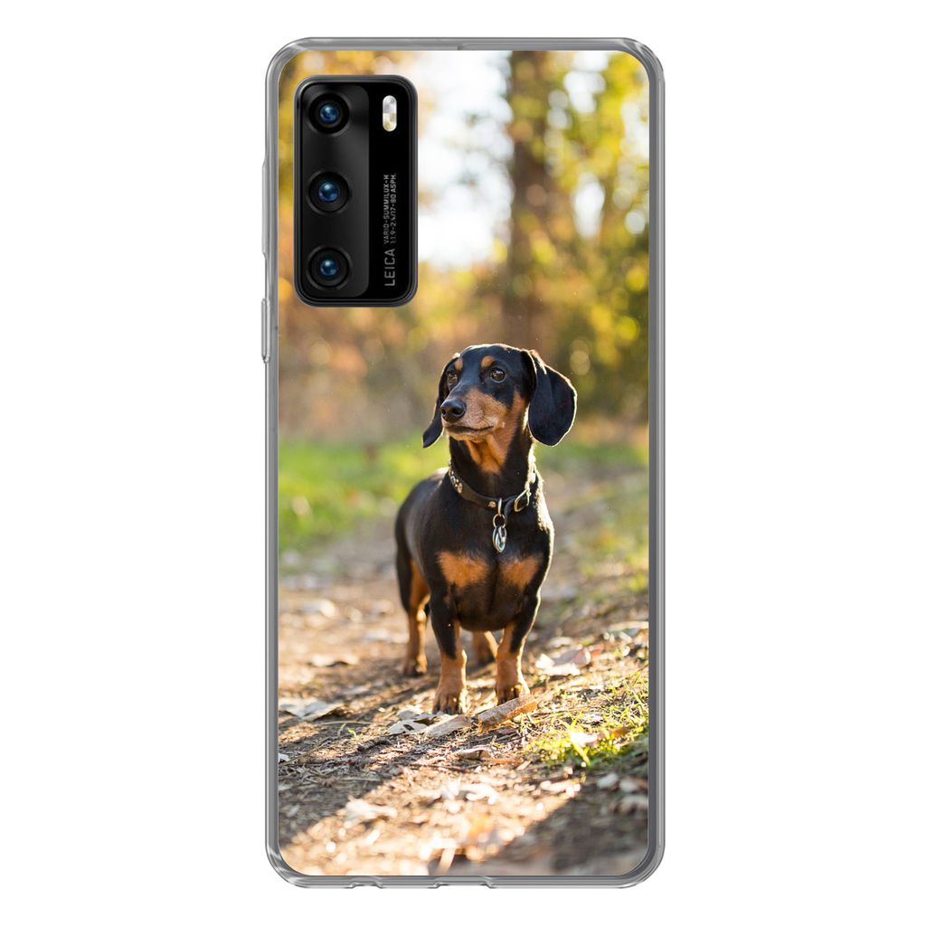 MuchoWow Handyhülle Schutzhülle Hülle für Huawei P40 Ein schöner Dackel im Wald Silikon Softcase Handy Hülle - Handytasche