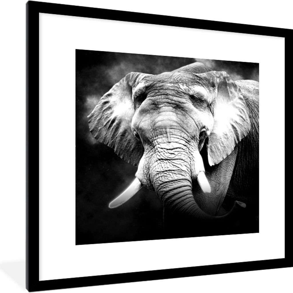 MuchoWow Gerahmtes Poster Elefant - Rauch - Zähne - Schwarz - Weiß 40x40 cm - Poster mit Schwarzem Bilderrahmen Wandposter Rahmen Foto Bilder -...