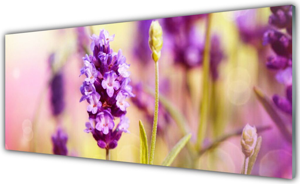 Acrylglasbilder 125x50 Wandbild Druck Blumen Pflanzen