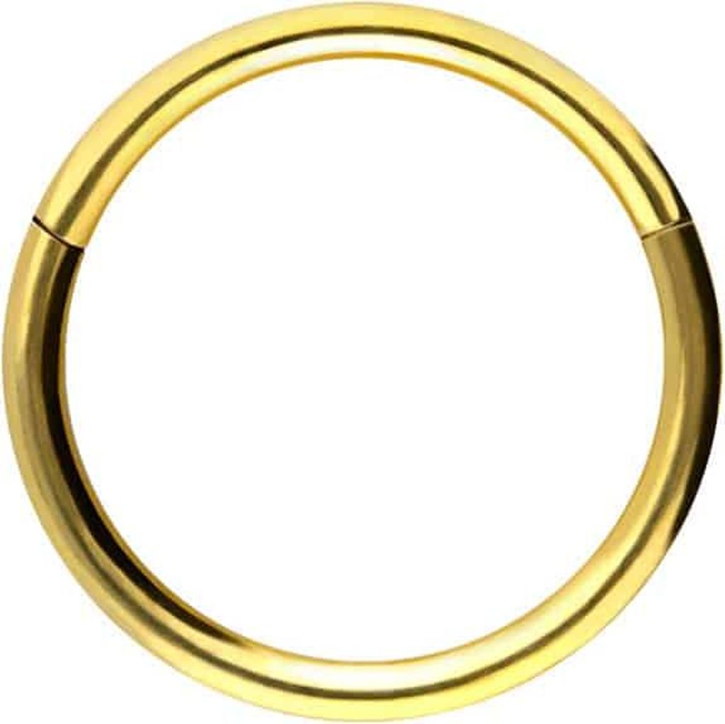 Ohrpiercing, Nasenpiercing, Septum Piercing Chirurgenstahl Segmentring Clicker Gold Innendurchmesser: 10mm + Stabstärke: 1mm
