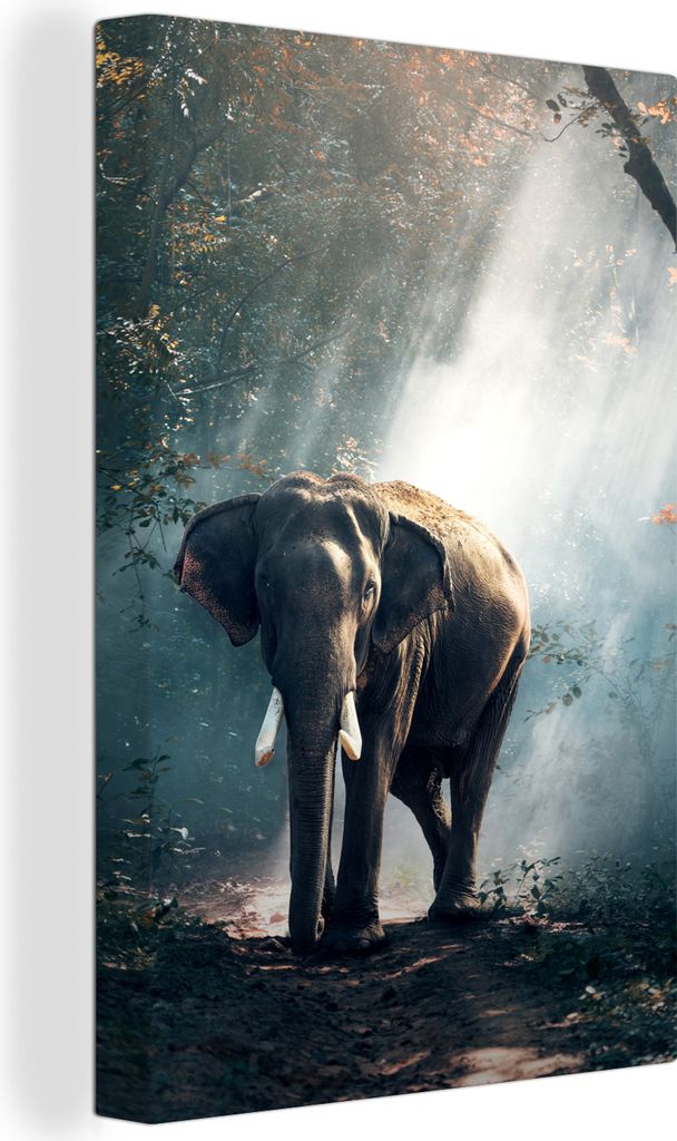 OneMillionCanvasses - Leinwandbilder - 90x140 cm, Elefant - Tiere - Licht - Wald - Natur - Wildtiere, Wandbilder Kunstdruck Wanddekoration - Foto...