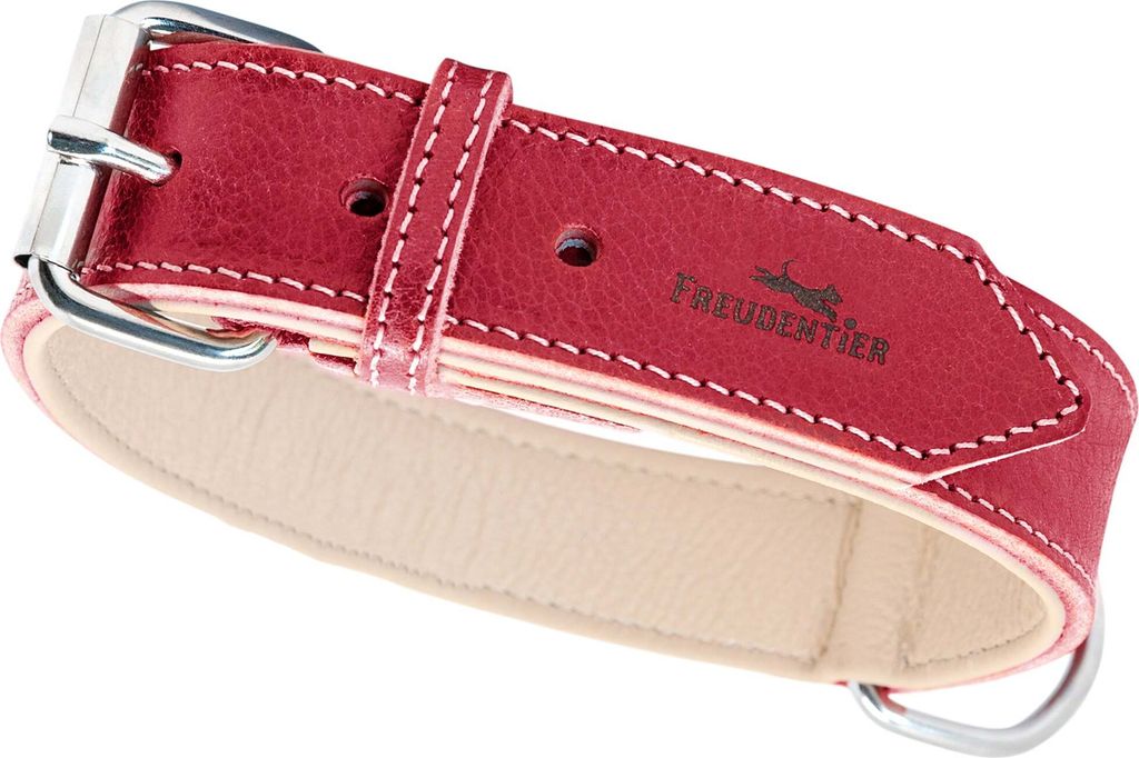 Hundehalsband aus Leder - Amstelpark Kollektion in Spicy Red – 47-57cm