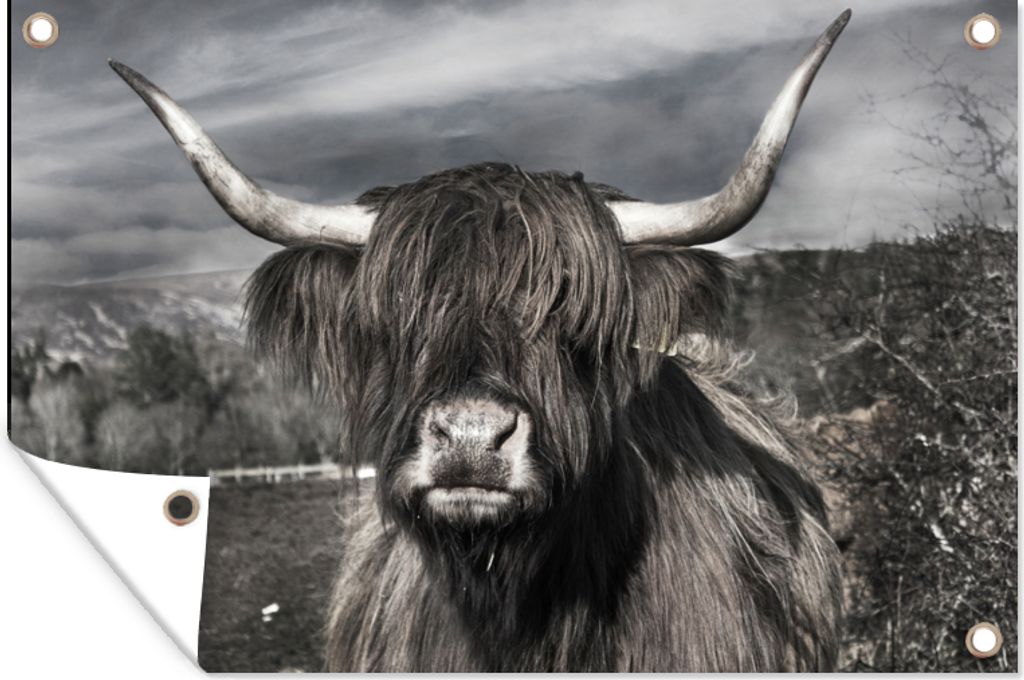 MuchoWow 90x60 cm Outdoor-Poster Gartendeko Sichtschutz Garten Poster für den Garten Schottischer Highlander - Tiere - Hörner