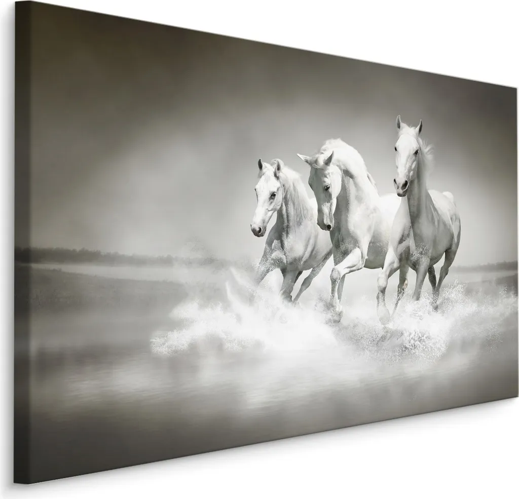 Offerta Quadro su Tela 70x50 cm XXL Cavalli - Arredo Casa Economico