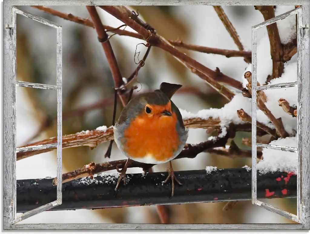 ARTland Glasbild Fensterbild - Rotkehlchen Größe: 60x45 cm