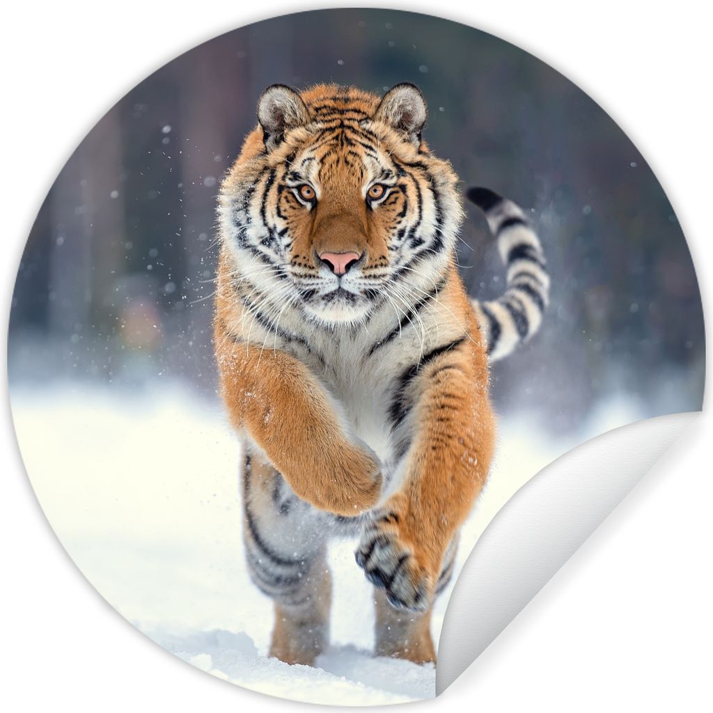 MuchoWow Runde Wandtattoo - Wandsticker Tapete Aufkleber Tiger - Landschaft - Schnee - Tiere Ø 50 cm Selbstklebend und Repositionierbar - Wandau...
