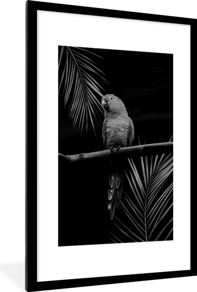 MuchoWow Gerahmtes Poster Ein Papagei sitzt auf einem Zweig vor einem schwarzen Hintergrund - schwarz und weiß 60x90 cm - Poster mit Schwarzem B...