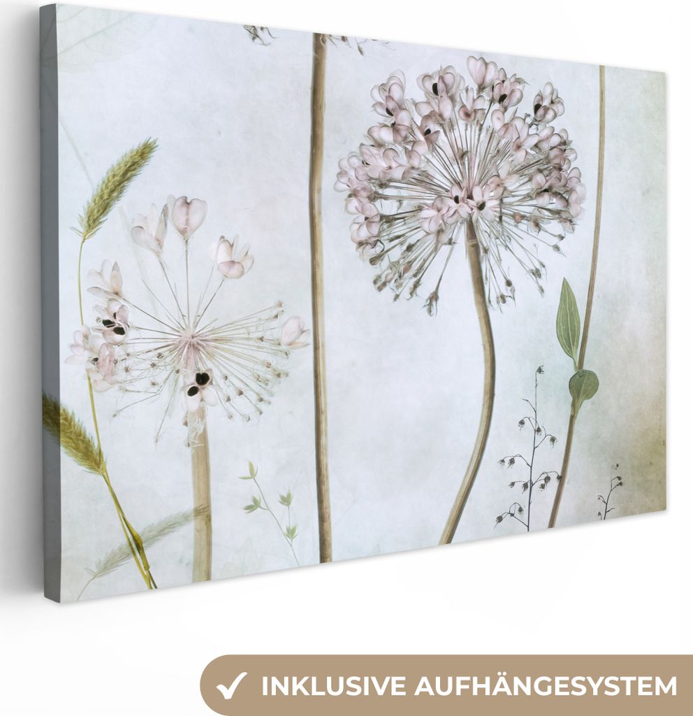 OneMillionCanvasses - Leinwandbilder - 150x100 cm, Blumen - Dekorative Zwiebel - Stilleben - Pflanzen, Wandbilder Kunstdruck Wanddekoration - Fot...