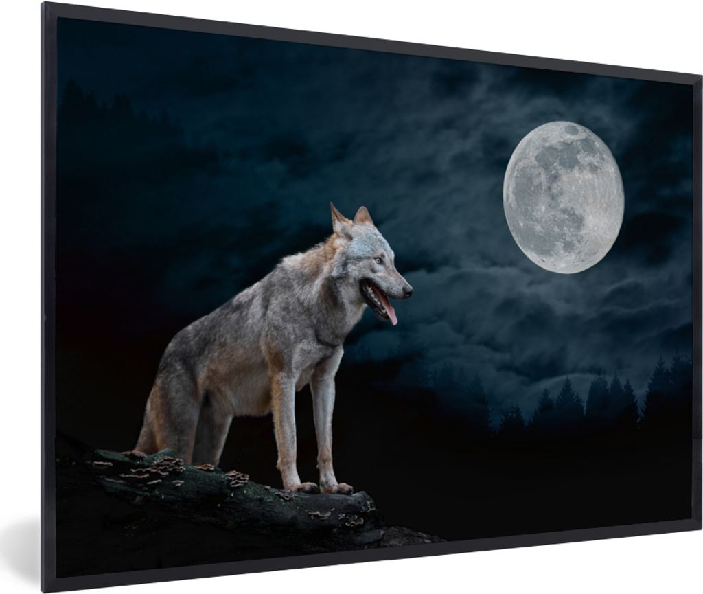 MuchoWow Gerahmtes Poster Wolf - Mond - Nacht - Tiere - Porträt 60x40 cm - Poster mit Schwarzem Bilderrahmen Wandposter Rahmen Foto Bilder - Pri...