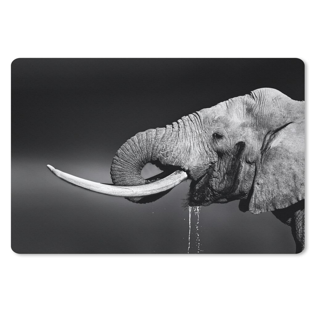 MuchoWow Mauspad Mousepad Elefant - Wasser - Schwarz - Weiß 27x18 cm - Mousepads - Maus Mat - Pad - Mausunterlage - Büroartikel - Desk Matten