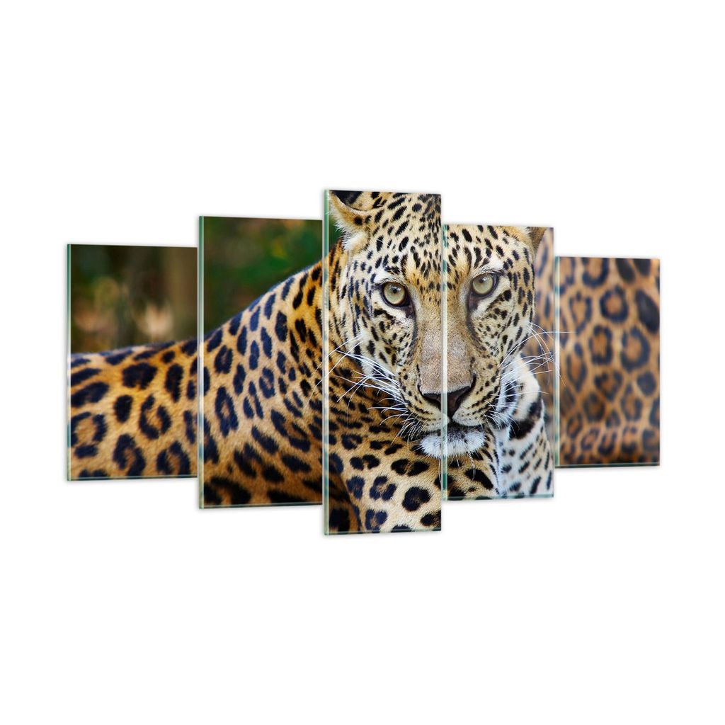 Bilder auf glas - Leopardpanther Katze Tier Savanne - 160x85cm - Glasbilder - Wandbilder - Kunstdruck - Wanddekoration aus Glas - Glas Bilder - Wan...
