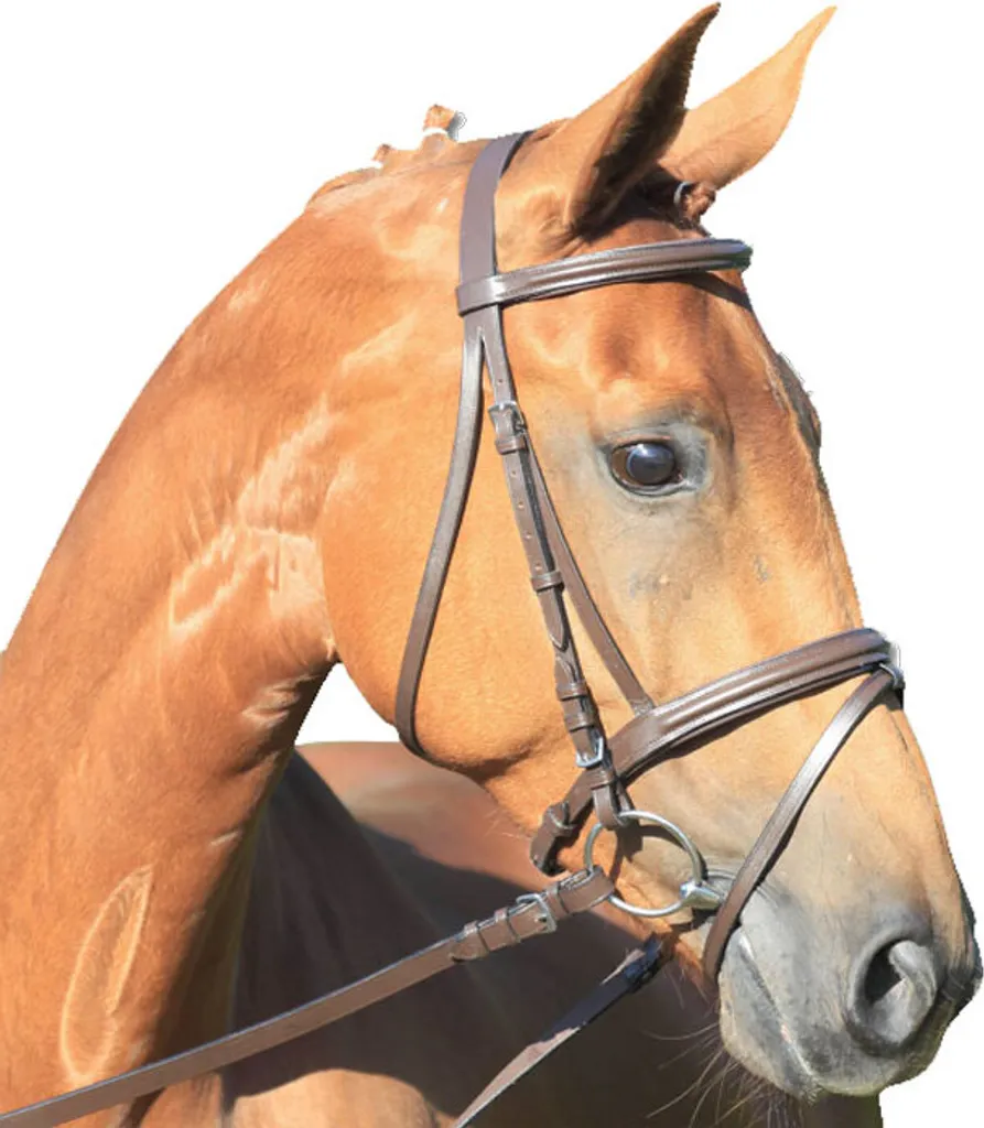 Bridon STAR Lifestyle Marron et Marron MSH - Filet de Qualité pour Poney