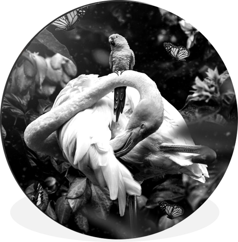 MuchoWow Aluminium Wandkreis Pflanzen - Flamingo - Dschungel - Schwarz - Weiß Ø 90 cm Wanddeko Modern Wohnzimmer - Mauerkreis - Wandbilder - Ru...