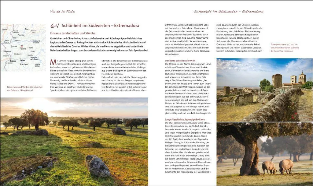 Ne ratez rien du Chemin de Compostelle : 100 points clés Espagne
