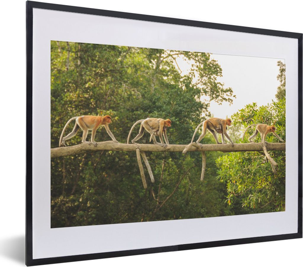 MuchoWow MuchoWow Gerahmtes Poster Affen laufen auf Ast 40x30 cm - Poster mit zchwarzem Bilderrahmen - Bilderrahmen - Poster im Rahmen