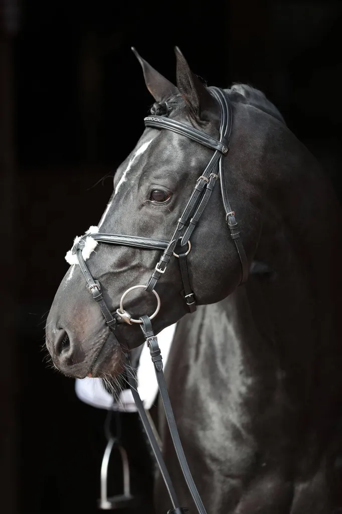 Briglia Messicana Cwell Equine In Pelle - Con Cristalli E Redini A Nastro