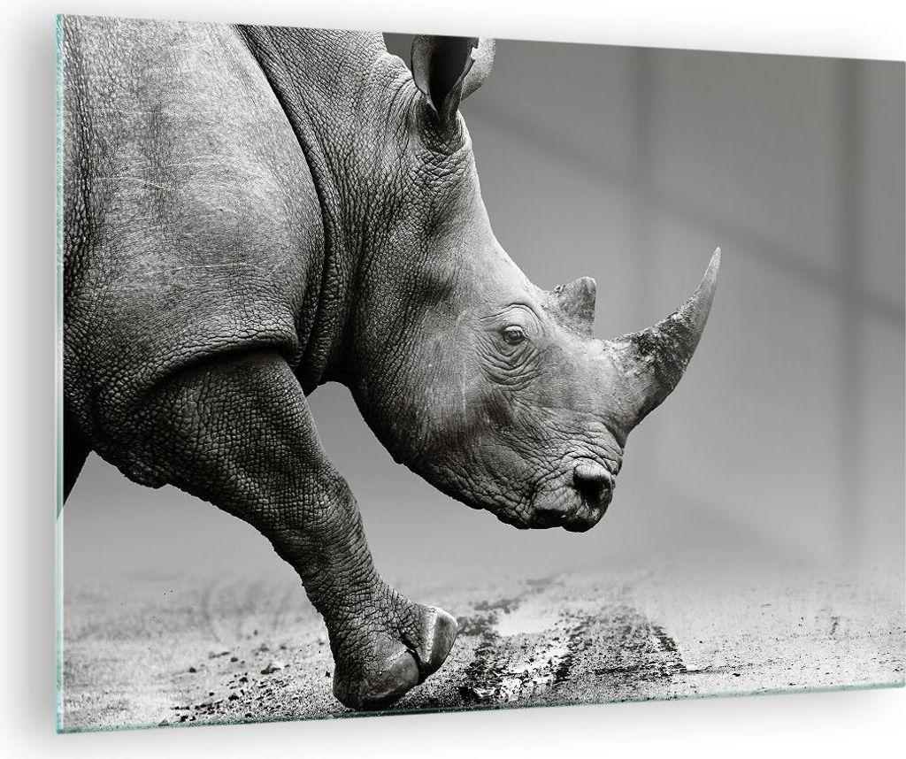 Bilder auf glas - Einteilig - Nashorn Monochrom Tier - 70x50cm - Glasbilder - Wandbilder - Bilder - zum Aufhängen bereit - Wanddekoration aus Glas...