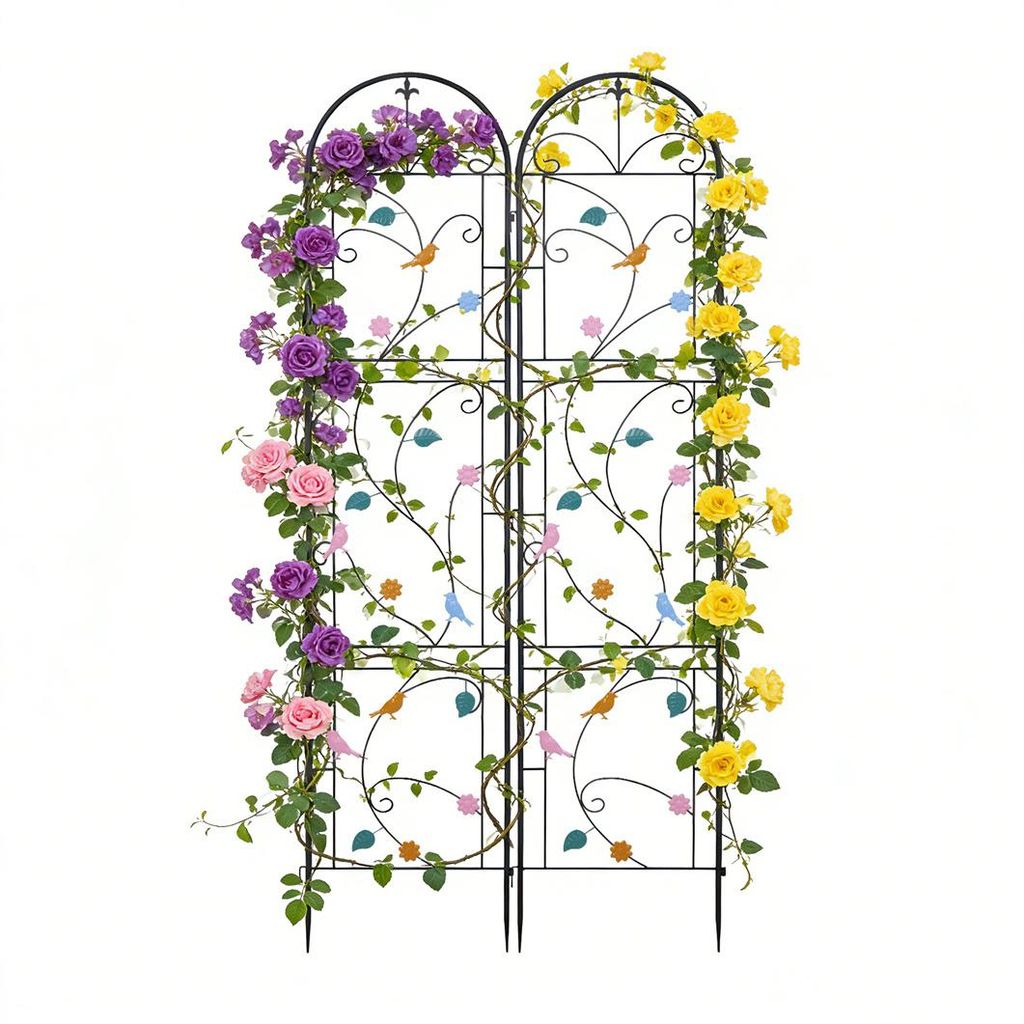 WISFOR Rankhilfe 2er Set Metall, rostfrei Rankhilfe Garten Produktbild 