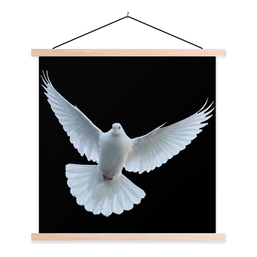 MuchoWow Textilposter Taube - Vogel - Schwarz - Weiß - Porträt 60x60 cm mit holzfarbenen Rahmen - Wanddekoration