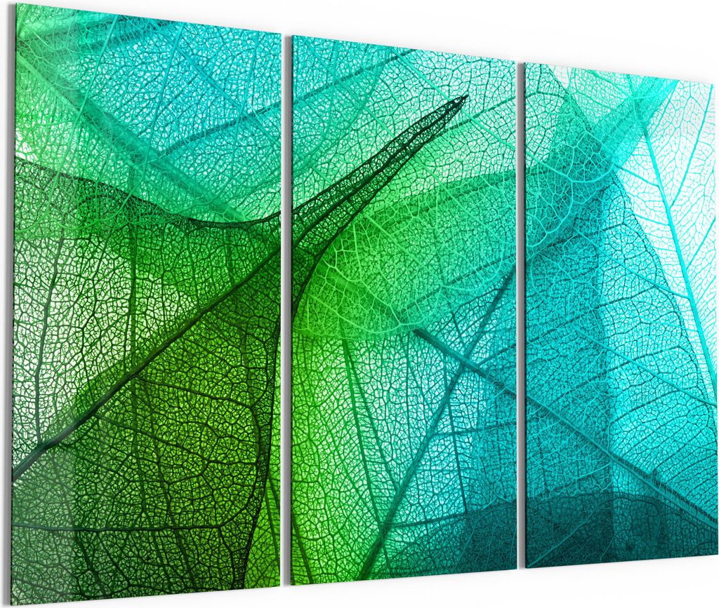 DEQORI Glasbild Echtglas 3x50x100 cm 'Durchleuchtete Blätter' Wandbilder XXL groß