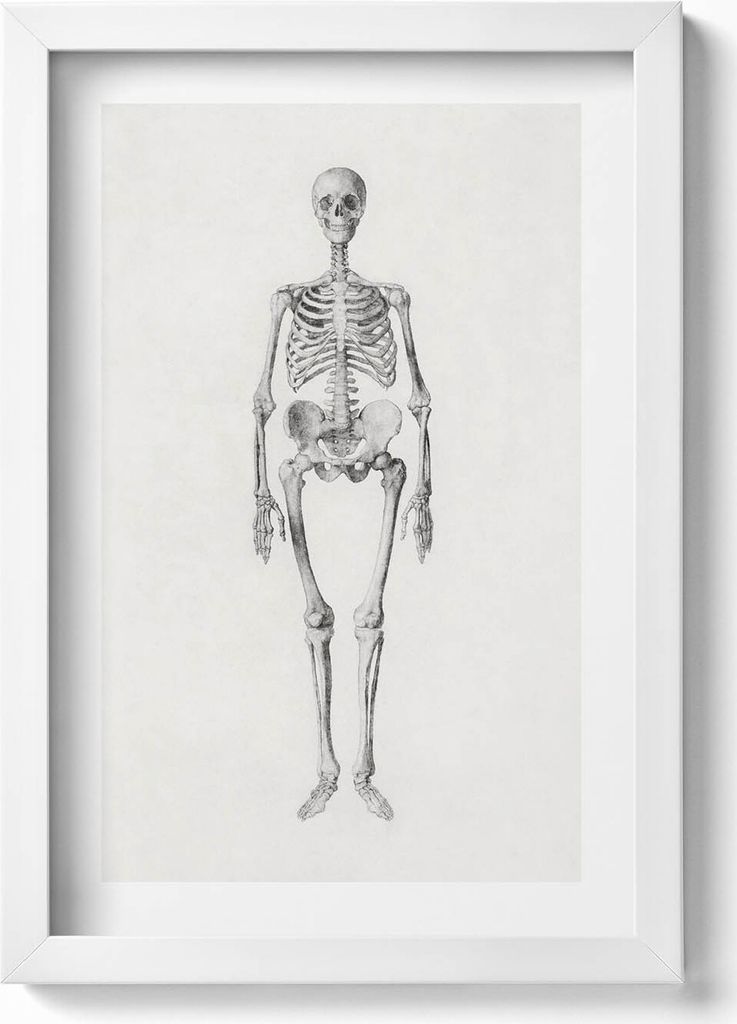Skizze eines Skeletts– Wandbild mit Rahmen – Gerahmtes Bild – Wanddekoration – 20x30 cm – Weiß