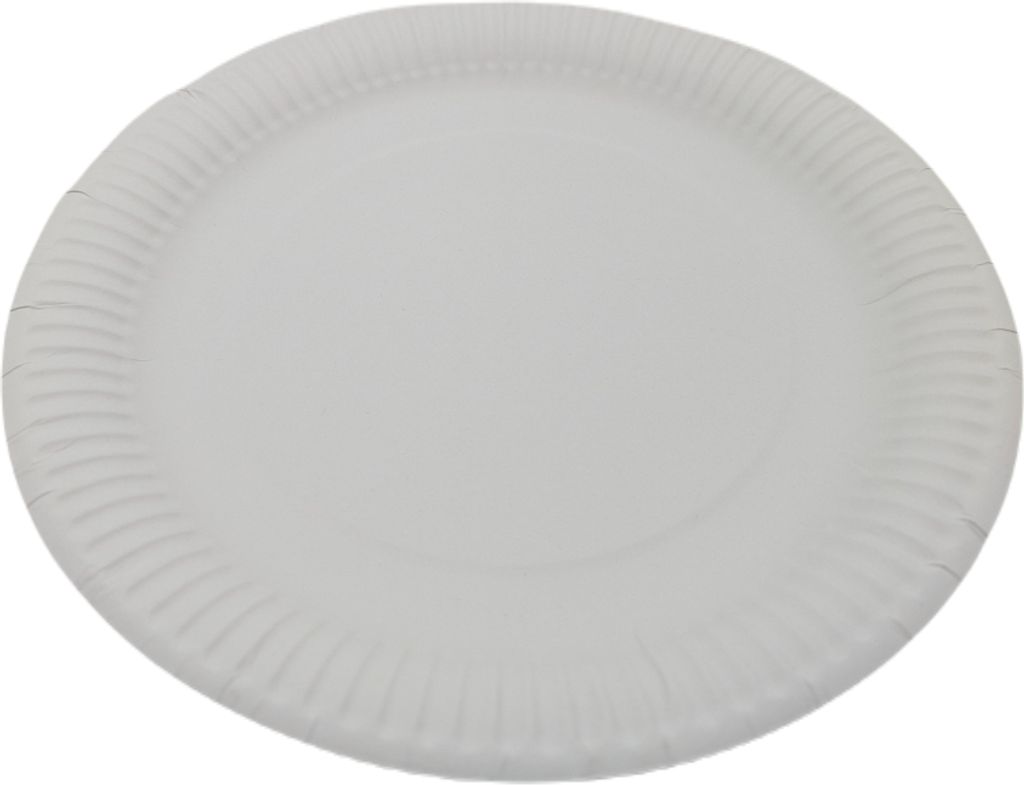 750 Pappteller Imbissteller rund Ø 23cm FF Kuchenteller weiß