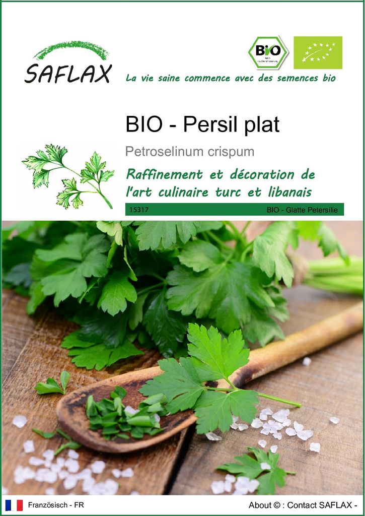 SAFLAX  -- Persil plat - 600 graines - Petroselinum Image du produit 
