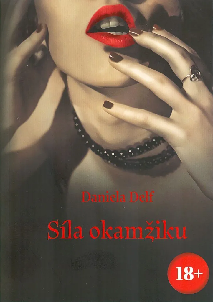 Livre Síla okamžiku par Daniela Delf : Roman Littérature Contemporaine