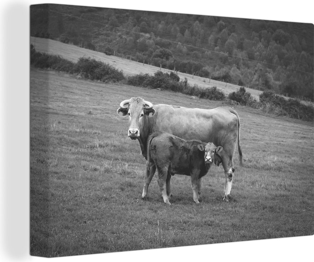 OneMillionCanvasses - Leinwandbilder - 140x90 cm, Kuh und Kalb auf einer Wiese - schwarz und weiß, Wandbilder Kunstdruck Wanddekoration